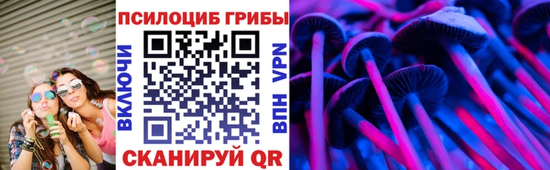 Галлюциногенные грибы Psilocybe Владимир