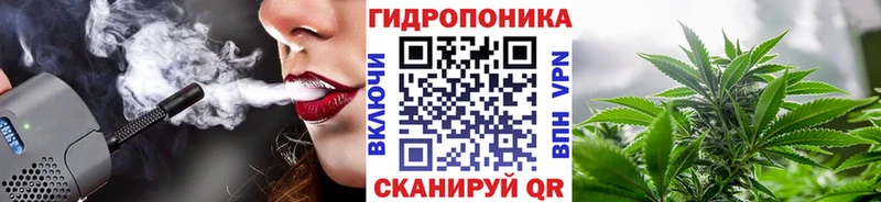 Бошки Шишки семена  Владимир 